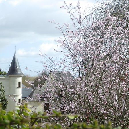 Le Manoir De La Baldette Panzió Gennes-Val-de-Loire Kültér fotó
