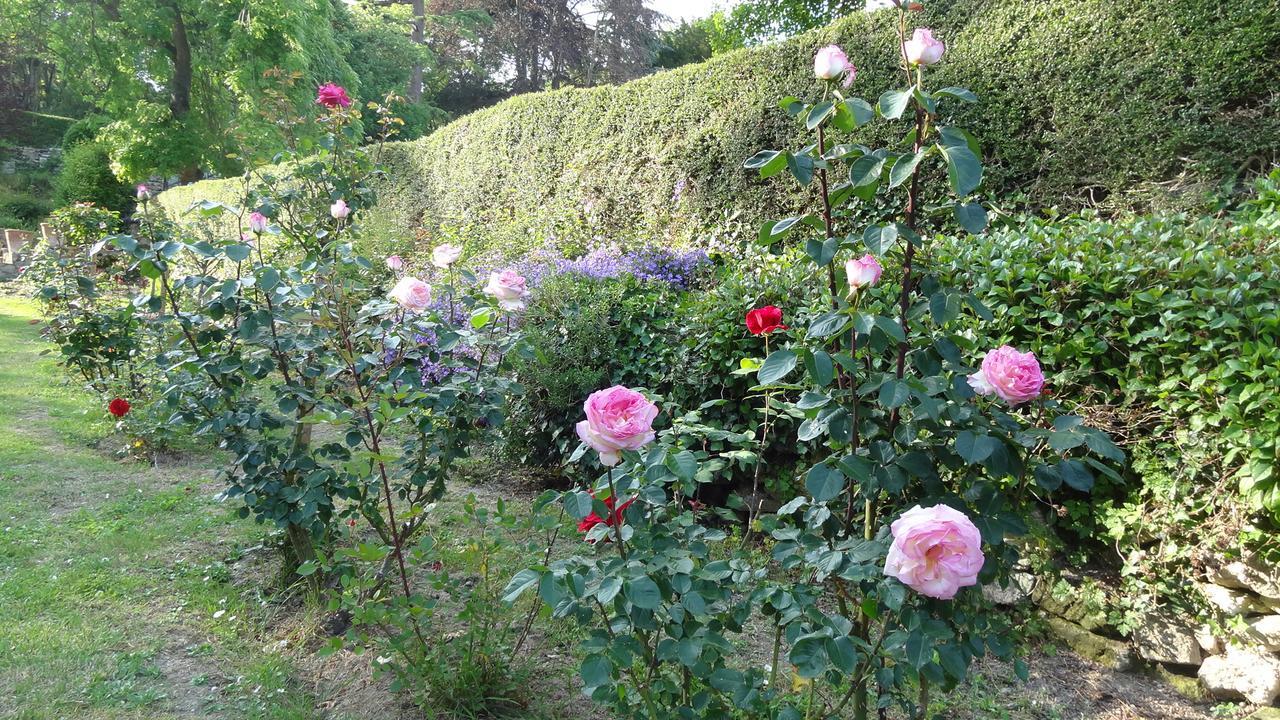 Le Manoir De La Baldette Panzió Gennes-Val-de-Loire Kültér fotó
